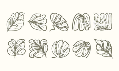 Set of Abstract Botanical LineArt 