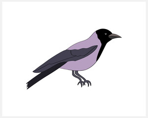 Doodle raven bird clip art isolated. Hand drawn animal.  Vector stock illustration. EPS 10