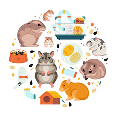 Hamster Flat Round Composition