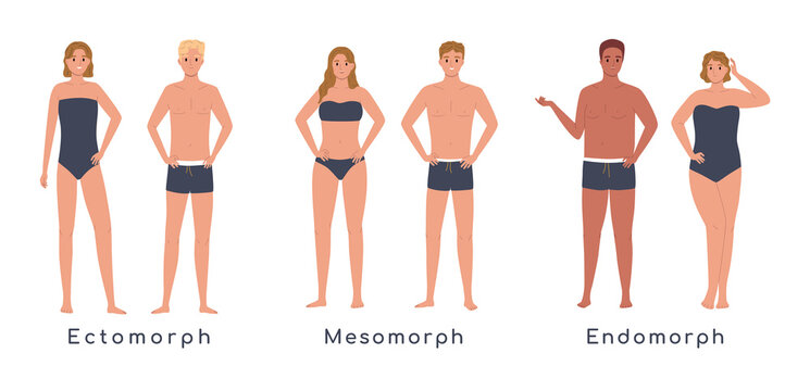 Body Types Flat Set