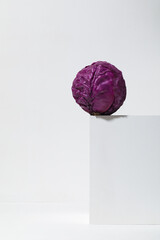 Red cabbage on the white background. Still life in minimalist style.