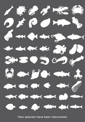 some new species have been found