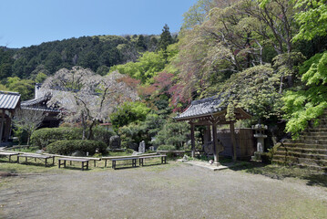 金蔵寺　境内　京都市西京区大原野