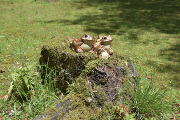 金蔵寺　境内のカエルの置物　京都市西京区大原野