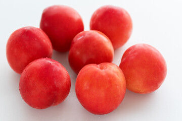 プラム　白い背景