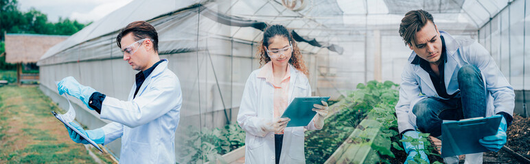 Scientist examining a plants in greenhouse farm. scientists holding equipment for research plant in...
