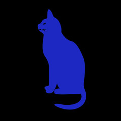 Blue cat on black