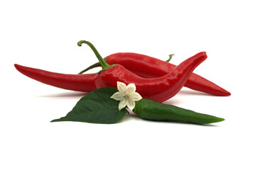 Chili pepper isolated with leaf on a white background