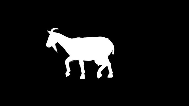 4K Goat Silhouette Walk Loop animation.3840×2160.7 Second Long.Transparent Alpha video.LOOP.
