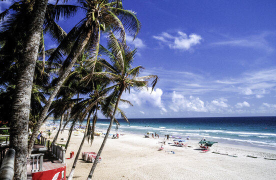 Pampatar.Isla Margarita. Estado de Nueva Esparta. Venezuela.