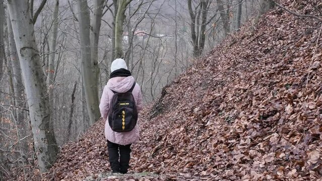 Hoia Images Browse 403 Stock Photos, Vectors, and Video Adobe Stock