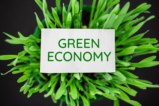 Top view of green grass with text green economy. Eco, ecology concept.