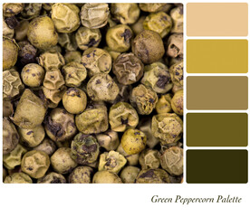 Green Peppercorns in a colour palette with complimentary colour swatches. 