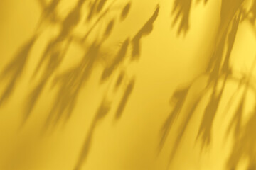 Shadow of leaves on solid yellow concrete wall texture. Abstract trendy colored nature concept...