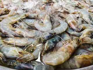 Close up fresh prawn, fresh shrimp seafood product 