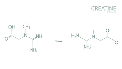 Creatine molecular skeletal chemical formula.	
