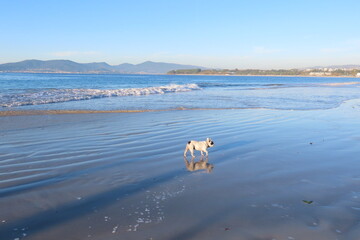 Playa Bao (Vigo - Pontevedra)