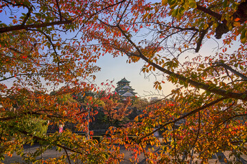 Osaka Castle Park at Autumn Sunset