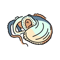 Argonaut color line illustration. Ocean fishes