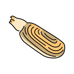 Sea stalk color line illustration. Ocean fishes