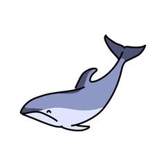 Dolphin color line illustration. Marine mammals.
