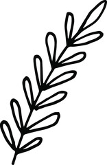 beautiful branch on a white background