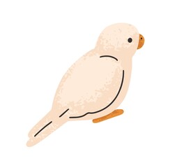 Cute parrot bird. Little budgerigar pet. Small exotic birdie. Back of adorable lovely feathered budgie. Tropical fauna. Flat graphic vector illustration isolated on white background