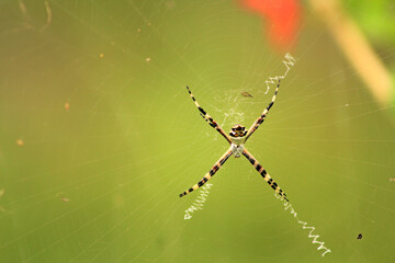 Montego Bay, Jamaica