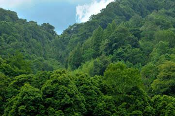 clouds over the mountains