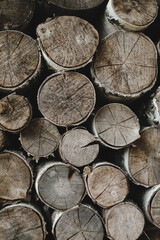 texture of wooden logs of different sizes lying in a heap