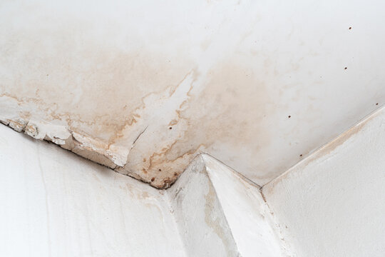 Water damaged ceiling roof in an old house. Water damage building interior. Ceiling house broken. Ceiling concrete crack and exposed the rusty steel bar frame.