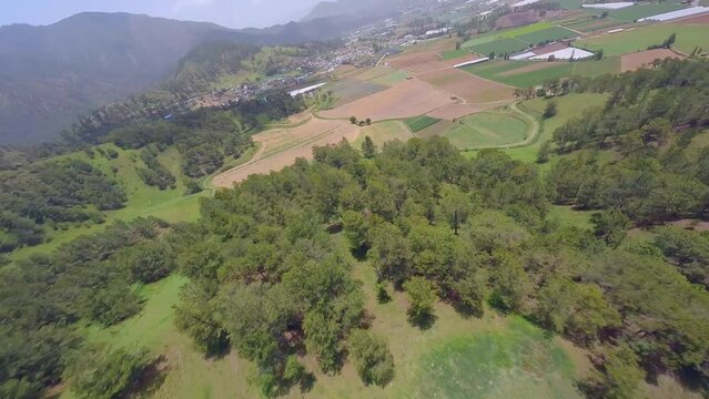 FPV Of Agricultural Landscape In Constanza, Dominican Republic - drone