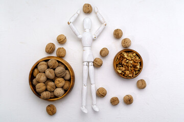 The human brain is shaped like a walnut kernel. Wooden mannequin with walnuts white background
