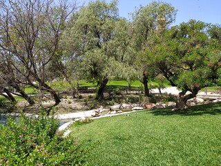 Parque con &aacute;rboles 