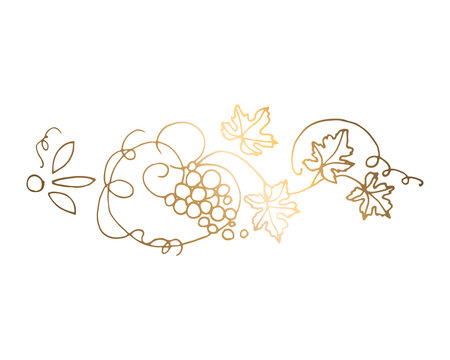 Vine. Vector illustration. Design elements with a twisting vine with leaves and berries. Drawing by hand in the style of line art. Horizontal ornament.