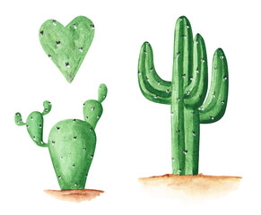 Set of 3 watercolor cacti isolated on a white background. Hand-drawn succulent illustrations. Mexican Green plant collection. Cute tropical object. Fiesta decoration art.