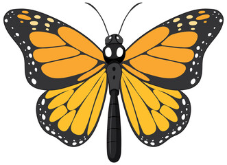 Monarch butterfly isolated on white background