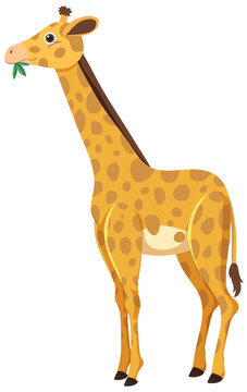 Side of giraffe in flat cartoon style