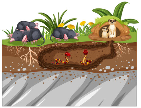 Underground animal hole in cartoon style