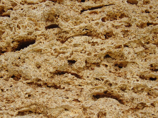 background texture of limestone stone surface. Shell limestone close-up as background