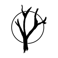 Fototapeta premium tree with roots