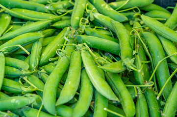 Sweet green pea pods for sale on Polish farmers market