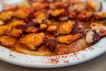 Tasty seafood, grilled octopus galician style with red pimento paprika and potatoes
