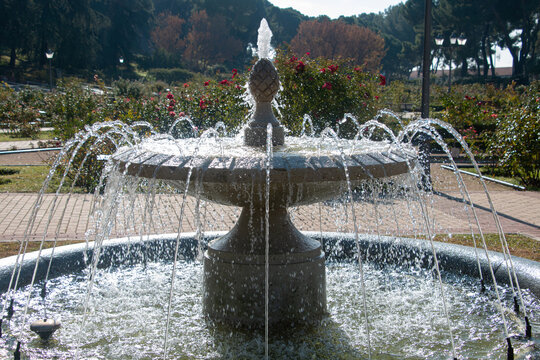 Fuente de La Rosaleda de Madrid