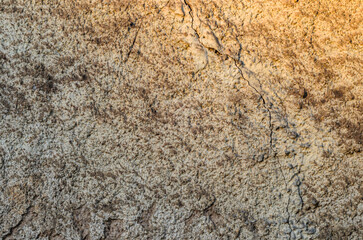 old building wall for the background1