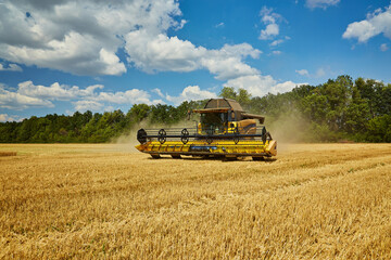 Combine harvester harvests ripe wheat.