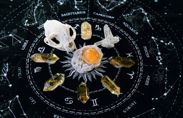 animal skull, quartz minerals, crystal ball on black divination zodiac astrology napkin. esoteric...