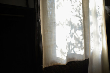 Leaves tree branch shade with sunlight on calico curtain.