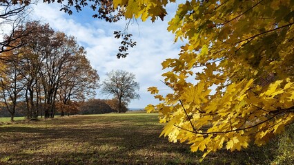 herbst