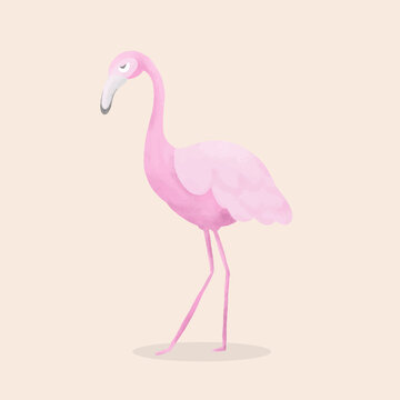 flamingo design with beautiful artistic brush painting vector illustration